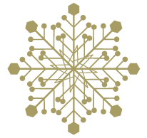 Snowflake Icon