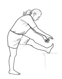 Standing Hamstring Stretch